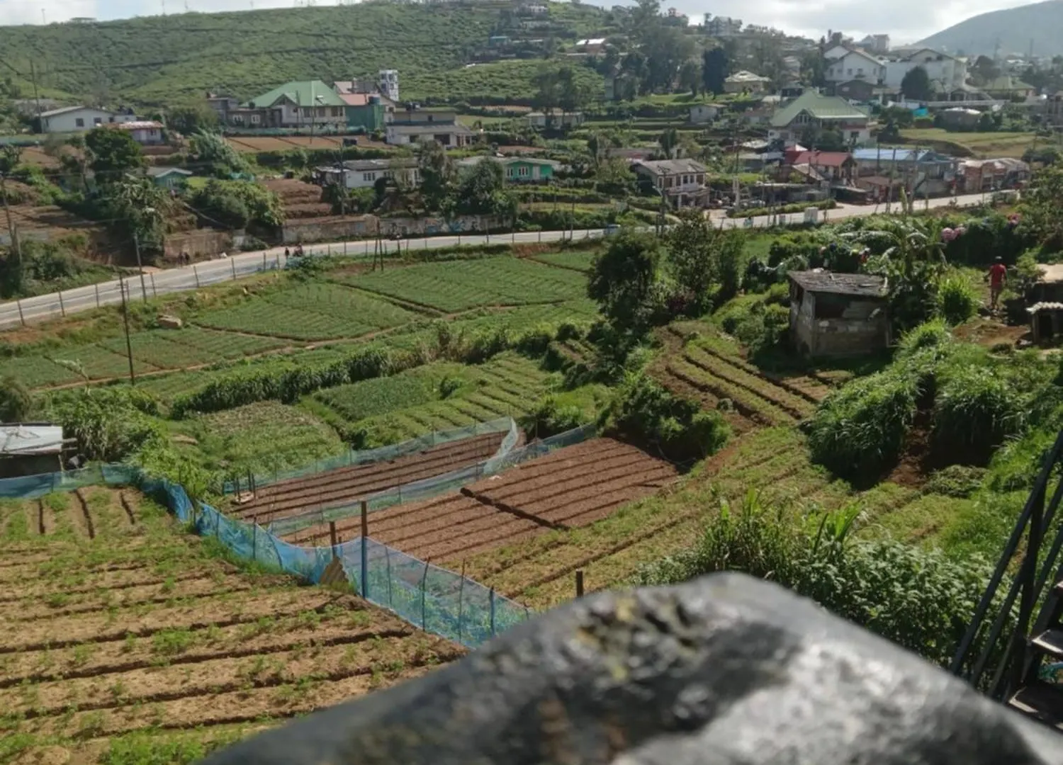 Guest house Shiny Cot Double Room With Garden View Nuwara Eliya